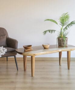 COFFEE TABLE IRREGULAR SUAR