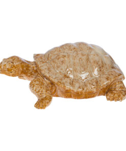 Tortuga email marrón.