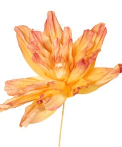 Flores maxi ava sunset