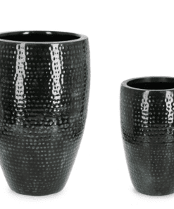 SET2 MACETERO NIRAD ALTO NEGRO