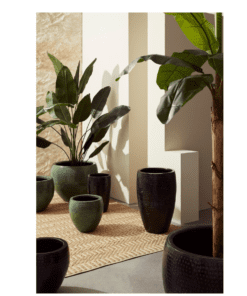 Alternative view of SET2 MACETERO NIRAD ALTO NEGRO