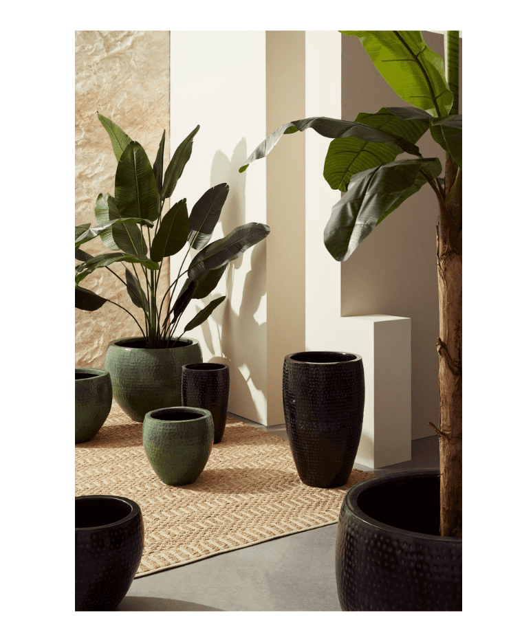 SET2 MACETERO NIRAD ALTO NEGRO - Imagen 2